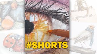 5 drawings in 50 seconds Artwork Tour | My 5 most recent colored pencil drawings #shorts