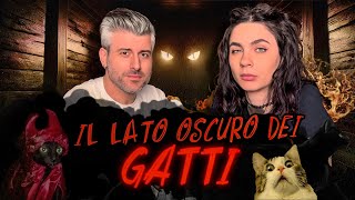 IL LATO OSCURO DEI GATTI