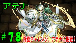 【パズドラ】知恵と戦いを司る神、アテナ降臨に挑戦!!【パズドラ動画第78回目】 【パズドラ】知恵と戦いを司る神、アテナ降臨に挑戦!!【パズドラ動画第78回目】