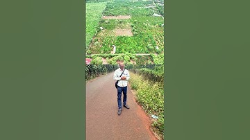 CÔ CHÚ LỚN TUỔI RỒI NÊN KHÔNG CÒN KHẢ CHĂM VƯỜN NỮA NÊN CẦN BÁN #shortvideo #đấtvườngiárẽ #bts