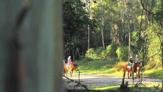 Welcome to Glenworth Valley by GlenworthValleyAUS 53,763 views 12 years ago 3 minutes, 32 seconds