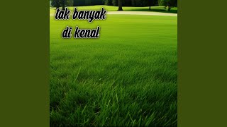 tak banyak di kenal