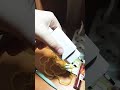 8 сентября 2023 г.