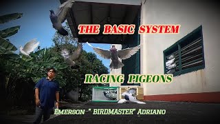 Birdmaster: \