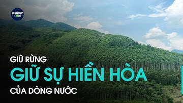 Giữ rừng, giữ sự hiền hòa của dòng nước | VTC1