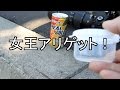 公園の女王アリを捕まえた!女王蟻はむこうからやってくる