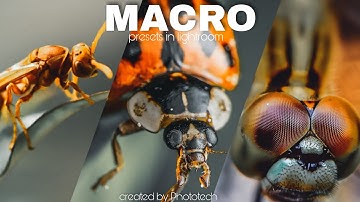 macro photography presets in lightroom mobile || insects photography lightroom presets