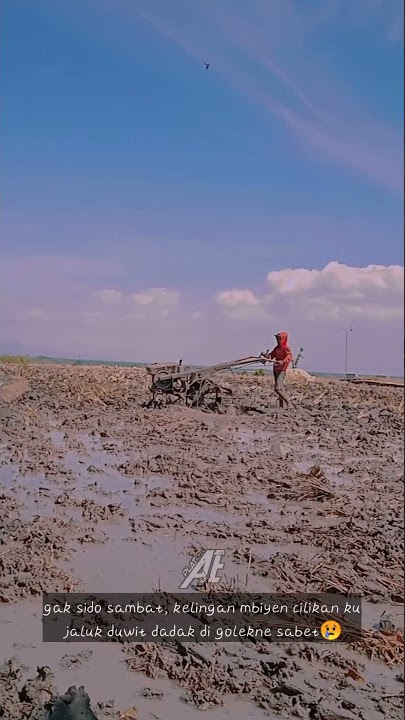 story wa traktor ngawi.