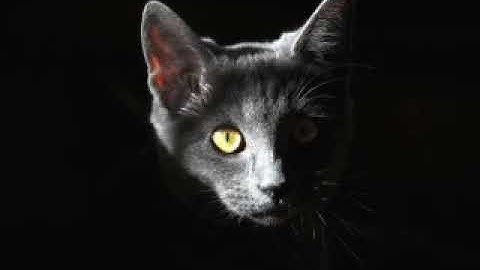 libreria tcpdf | funcional | curso php