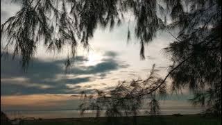 into the unknown (Juliana chahayed)