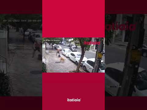 HOMEM QUE AGREDIU FAXINEIRA NO LOURDES É IDENTIFICADO #shorts