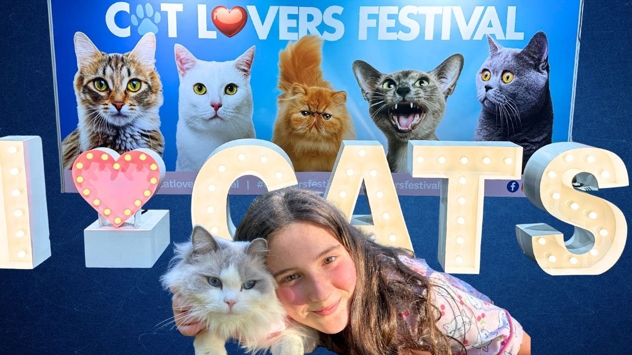 АЛИЯ отправляется на ФЕСТИВАЛЬ ЛЮБИТЕЛЕЙ КОШЕК 🐱