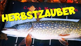 Karpfenangeln mit Hecht Zulage 2021 November