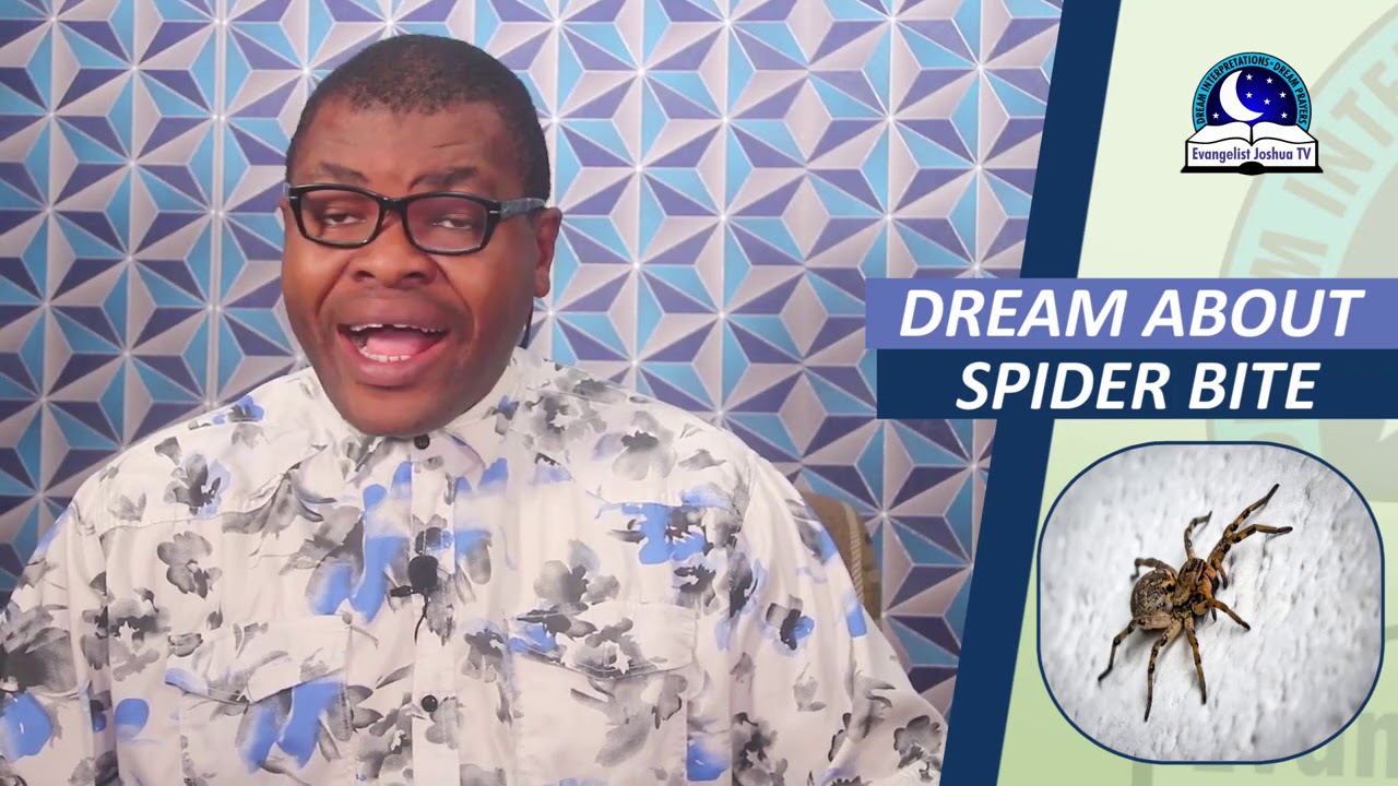 DREAM ABOUT SPIDER BITE Spiritual Meaning Of Spiders YouTube DREAM ABOUT SPIDER BITE Spiritual Meaning Of Spiders YouTube