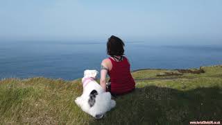 Cornwall Easter 2019