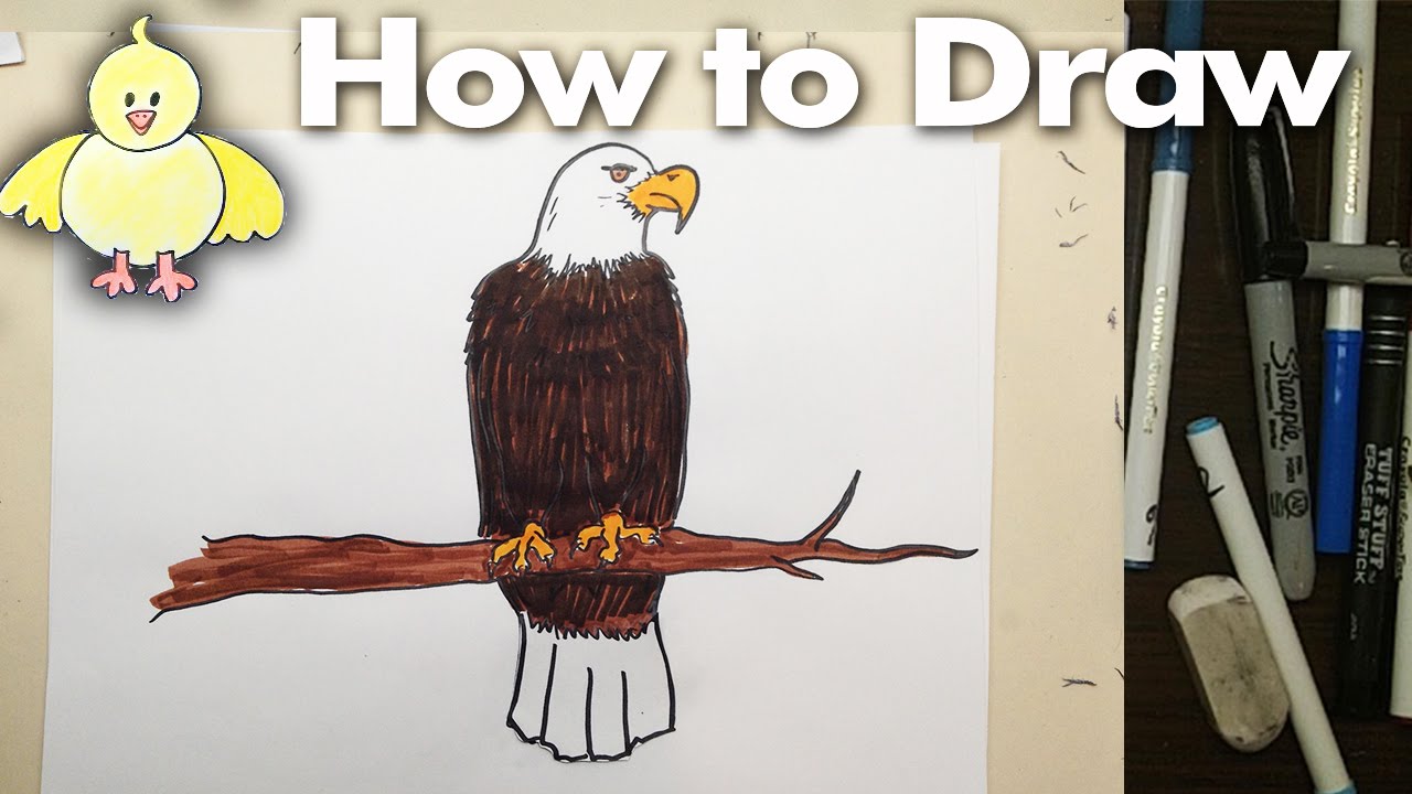 How to draw a cartoon Eagle step by step - YouTube