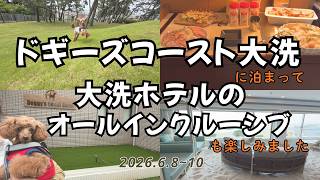 最強フリーフローの宿 Doggy’s Coast Oaraiと大洗ホテルの楽しみ方 ~オールインクルーシブ~ 人も愛犬も笑顔に!