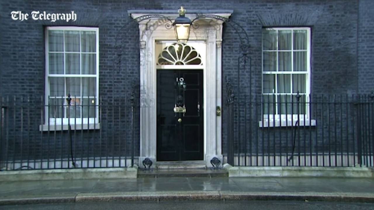 Prime Mallard: duck makes bid for Downing Street