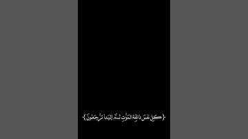 كل نفس ذائقة الموت بصوت عبد الرحمن مسعد #سوره العنكبوت #قرآن_كريم #عبدالرحمن_مسعد #تلاوة_خاشعة