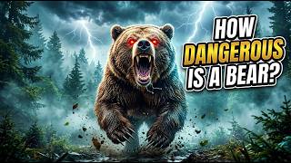 Bear Documentary | 20 Amazing Facts About Bears That Will Surprise You