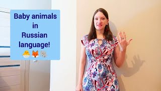 Baby animals in Russian language | Russian lesson with a Russian teacher screenshot 3