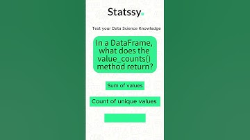 In a DataFrame, what does the value_counts() method return?