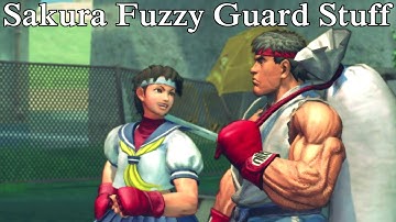 USF4 Sakura Fuzzy Guard Stuff