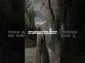 дроп уже сегодня ночью  #anime #pluggnb #cat #dabbackwood