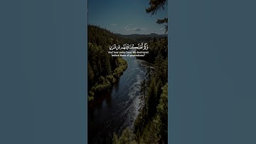 إن الذين ءامنوا و عملوا الصالحات سيجعل لهم الرحمن ودا || سورة مريم || القارئ: أحمد النفيس