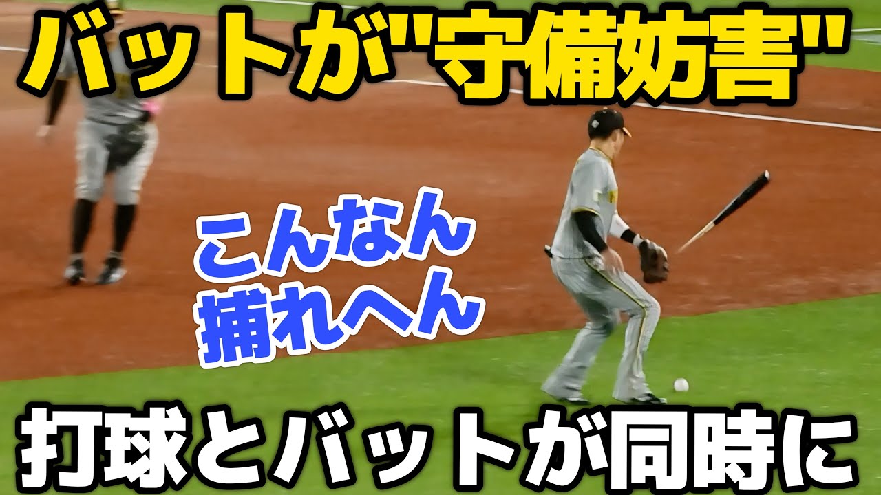 折れたバットが