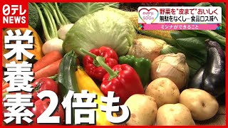 野菜を“皮まで”おいしく食べる動き広がる…栄養素も豊富で“食品ロス”削減へ（2021年6月24日放送「news every.」より）