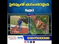 ఇంట్లో దుర్వాసన.. పెంకులు తీసి చూస్తే దిమ్మతిరిగే షాక్! #kanukatv #