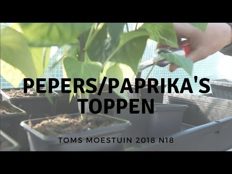 TM18#18 : Pepers en paprika&rsquo;s op verschillende manieren toppen