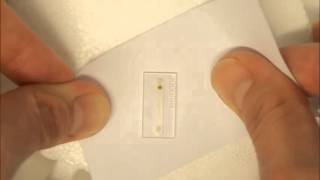 Celebrity Movement of magnetic sensor particles inside a microfluidic chip Wealth