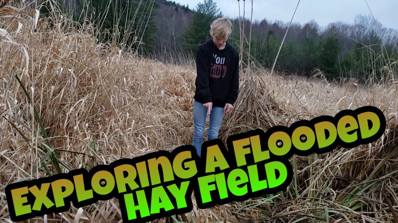 Exploring a flooded hayfield!!!!!!! YouTube