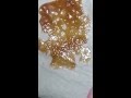 How To Make Stable Shatter Everytime How To Make Stable Shatter Everytime