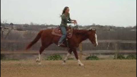 Docs Glowing Badger-2      ***For up-to-date info, price, etc., go to our website***