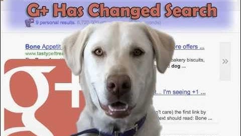 How Google Plus Has Changed Search Forever!