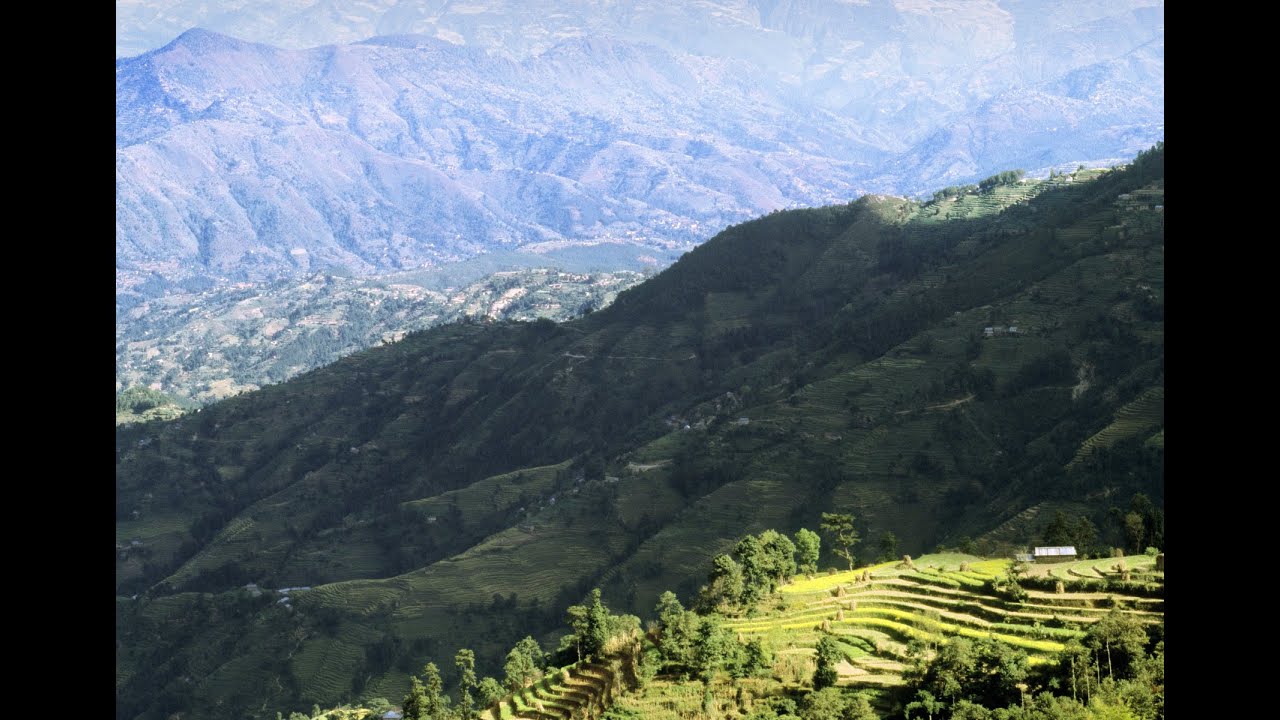 Nepali Farmers Fight To Save Indigenous Seeds Youtube Nepali Farmers Fight To Save Indigenous Seeds Youtube