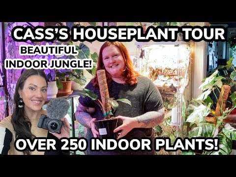 Cass&rsquo;s Indoor Jungle! 250+ Houseplant Tour Entire Plant Collection -Beautiful Rare Plants!