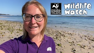 Happy World Oceans Day 2020!