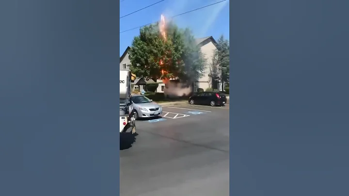 Electrical Fire|| Electrical Short Circuit|| Electrical Power #electrical #fire #shorts