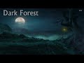 Dark Fantsy Music | Dark Forest