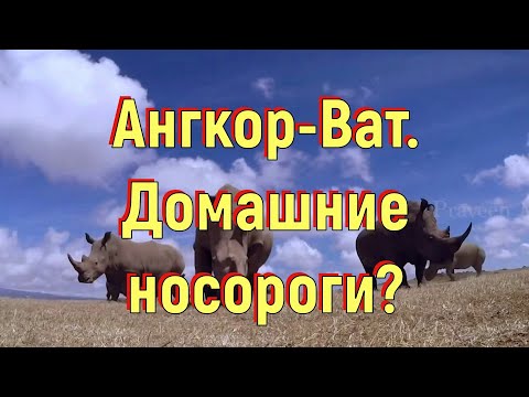 Video: Орнери түштүктүк сөзбү?