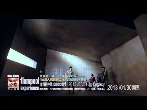 FLUMPOOL 證明 30PromoOK
