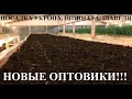 Посадка укропа. Новые оптовики. Хороший рост щавеля и шпината.