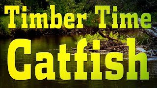 In-Fisherman TV: Timber Time Channel Cats