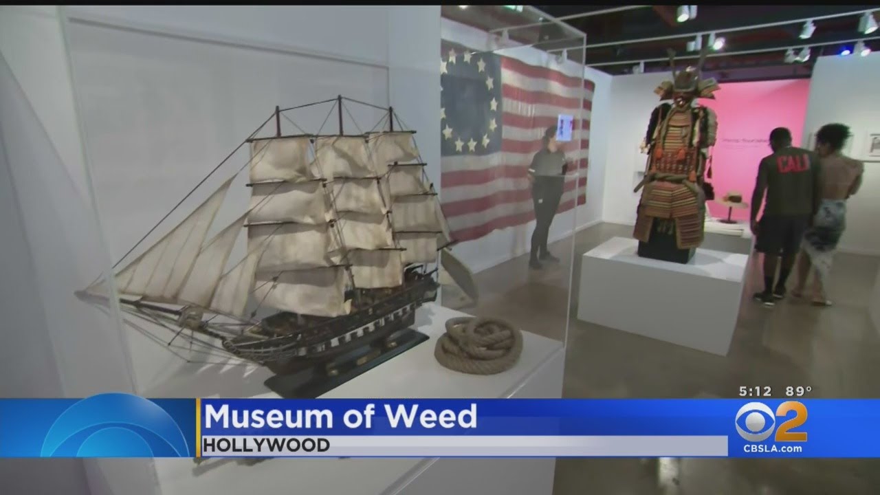 Pop-Up Weed Museum Is Hollywood's Hottest Joint