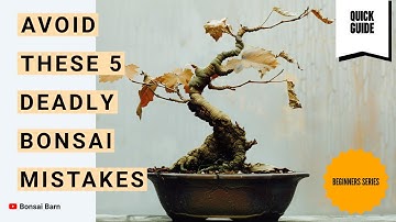 “Avoid These 5 Deadly Bonsai Mistakes” : “Beginner Bonsai Care Tips”