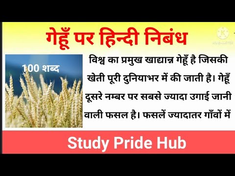 wheat essay in hindi language